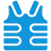 Alt Tag for itsecurity icon